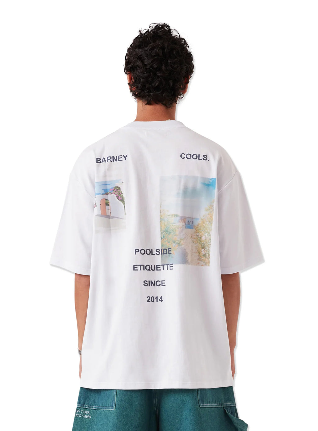 Barney Cools Scenic Tee