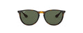 Ray Ban Erika