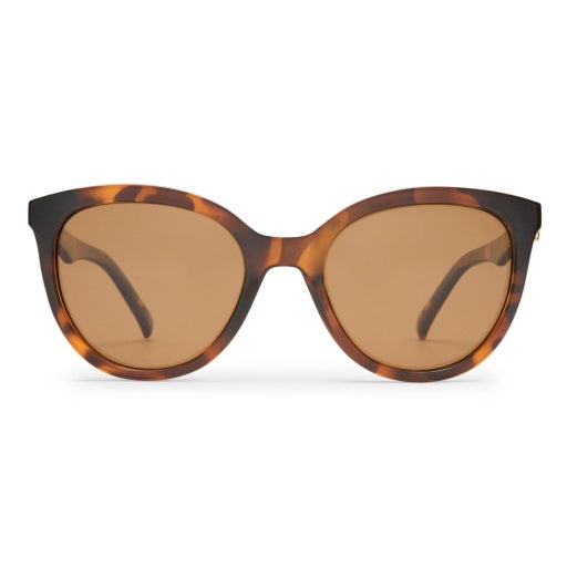 Le Specs The Muse in TORT