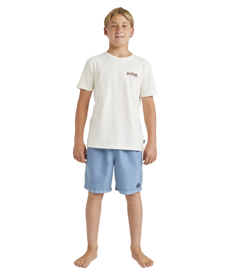 Billabong All Day Ovd Layback in STEEL BLUE