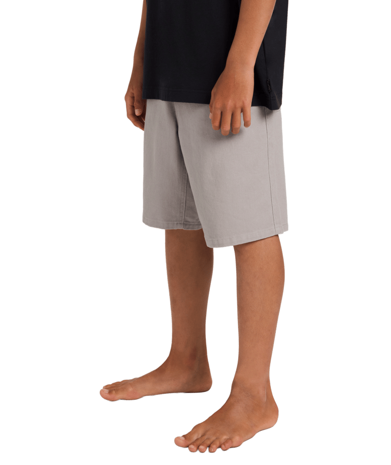 Billabong Boys Spec Bio Twill Ws in ASH