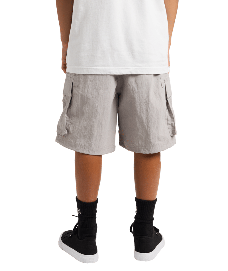 Billabong Boys Spec Cargo in ASH