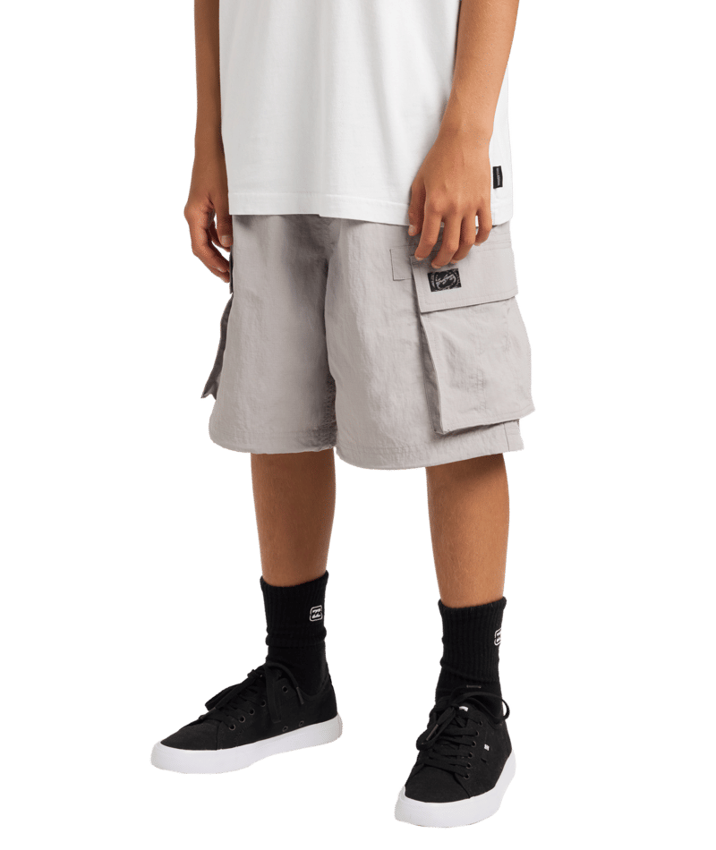 Billabong Boys Spec Cargo in ASH