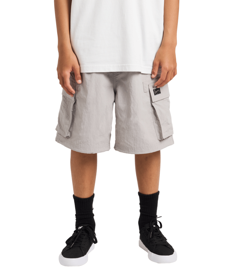 Billabong Boys Spec Cargo in ASH