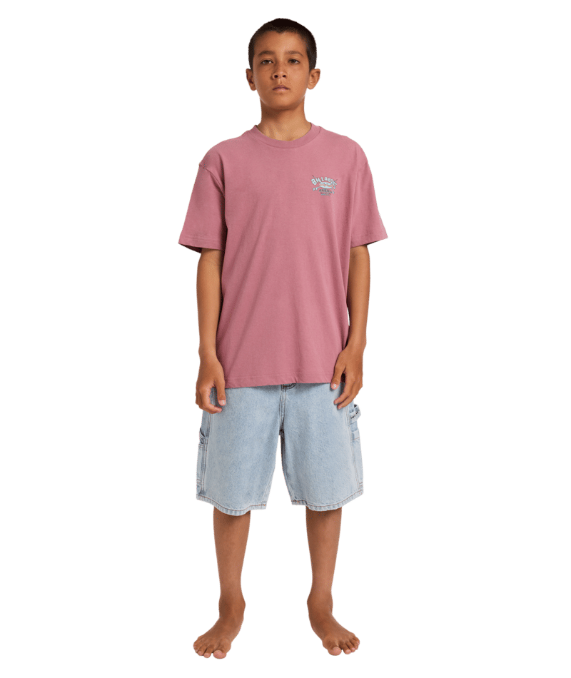 Billabong Boys Heritage Arch Ss in RED DAHLIA