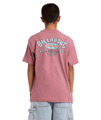 Billabong Boys Heritage Arch Ss in RED DAHLIA