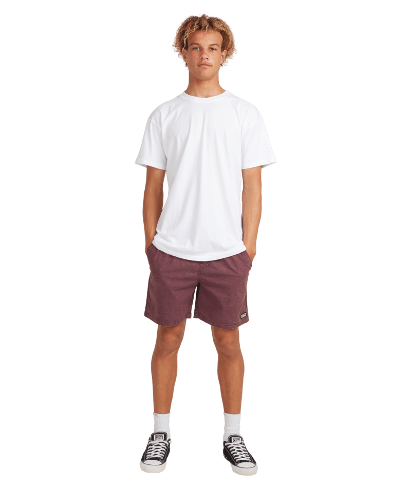 Billabong Mario 2.0 in Burgundy
