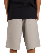 Billabong Spec Bio Twill Ws in ASH