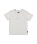 Quiksilver Wax On Ss Boy in GRAY VIOLET