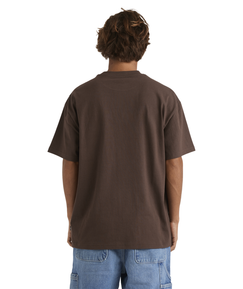 Quiksilver The Void Ss in CHOCOLATE BROWN