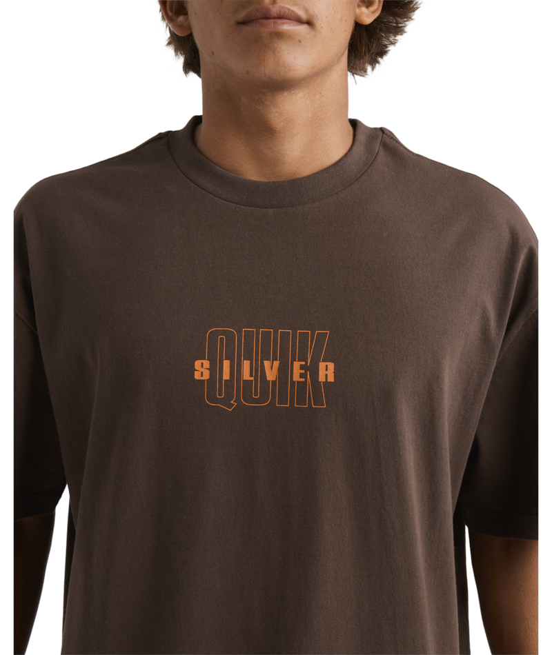 Quiksilver The Void Ss in CHOCOLATE BROWN