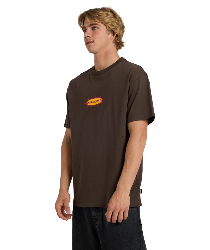 Quiksilver Drainer Ss Tee in TURKISH COFFEE