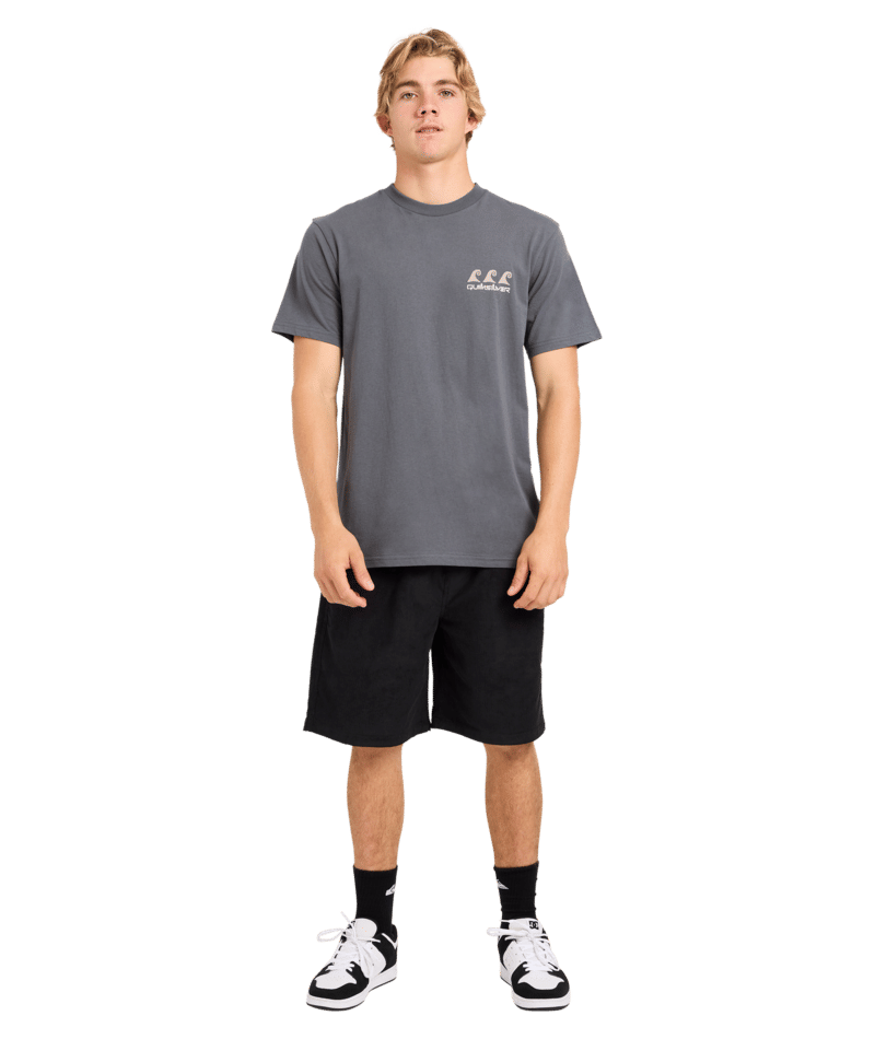 Quiksilver Natural Elements Ss in TARMAC