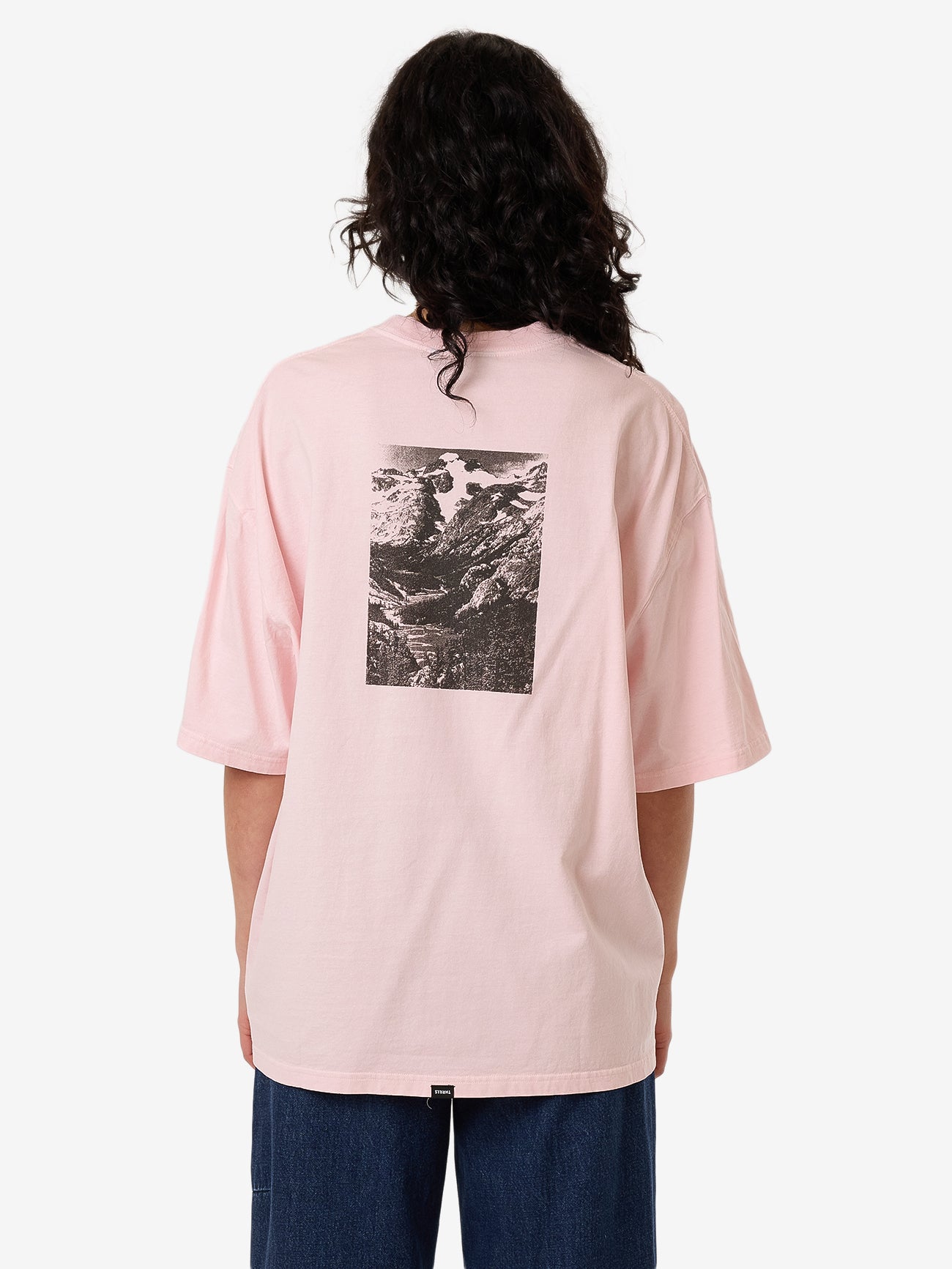 Thrills Highly Evolved Oversized Tee - Barely Pink in Barely Pink