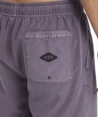 Billabong Mens All Day Overdye Layback 17" Boardshorts in Steel Purple