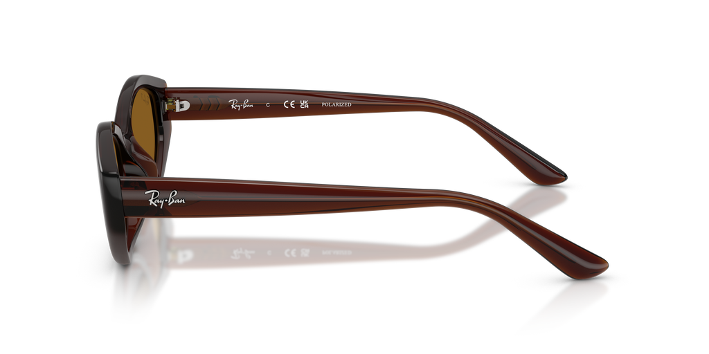 Ray-Ban® DARK BROWN DARK BROWN POLAR in Dark Brown