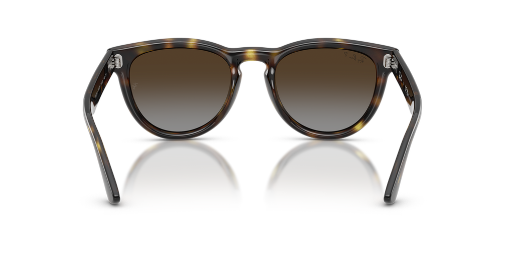 Ray-Ban® HAVANA POLAR LIGHT GREY GRADIE in Havana
