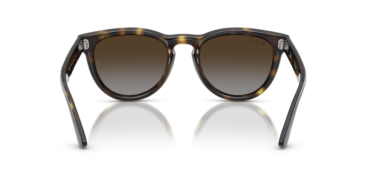 Ray-Ban® HAVANA POLAR LIGHT GREY GRADIE in Havana