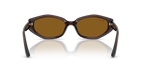 Ray-Ban® DARK BROWN DARK BROWN POLAR in Dark Brown