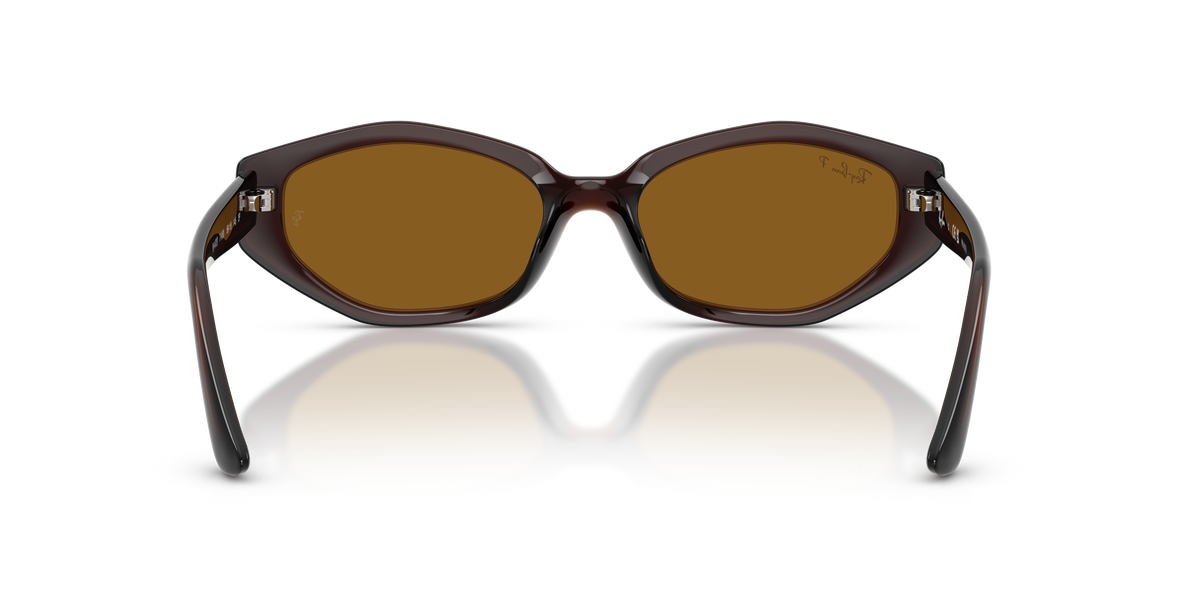 Ray-Ban® DARK BROWN DARK BROWN POLAR in Dark Brown