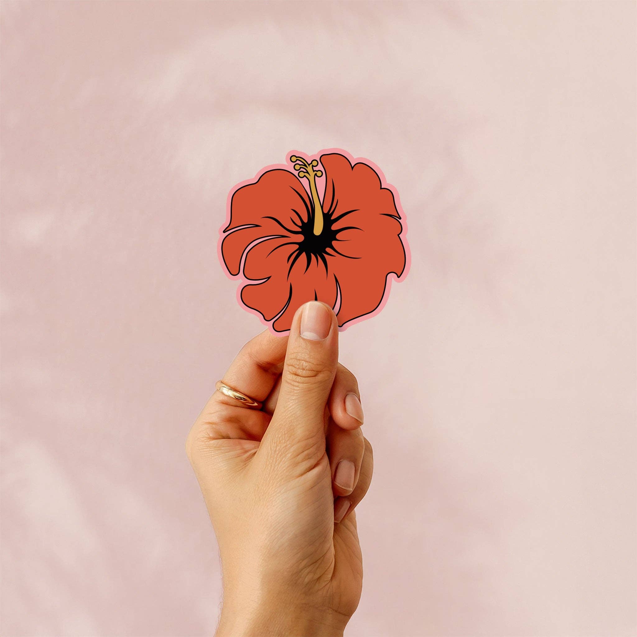 Hibiscus Pink