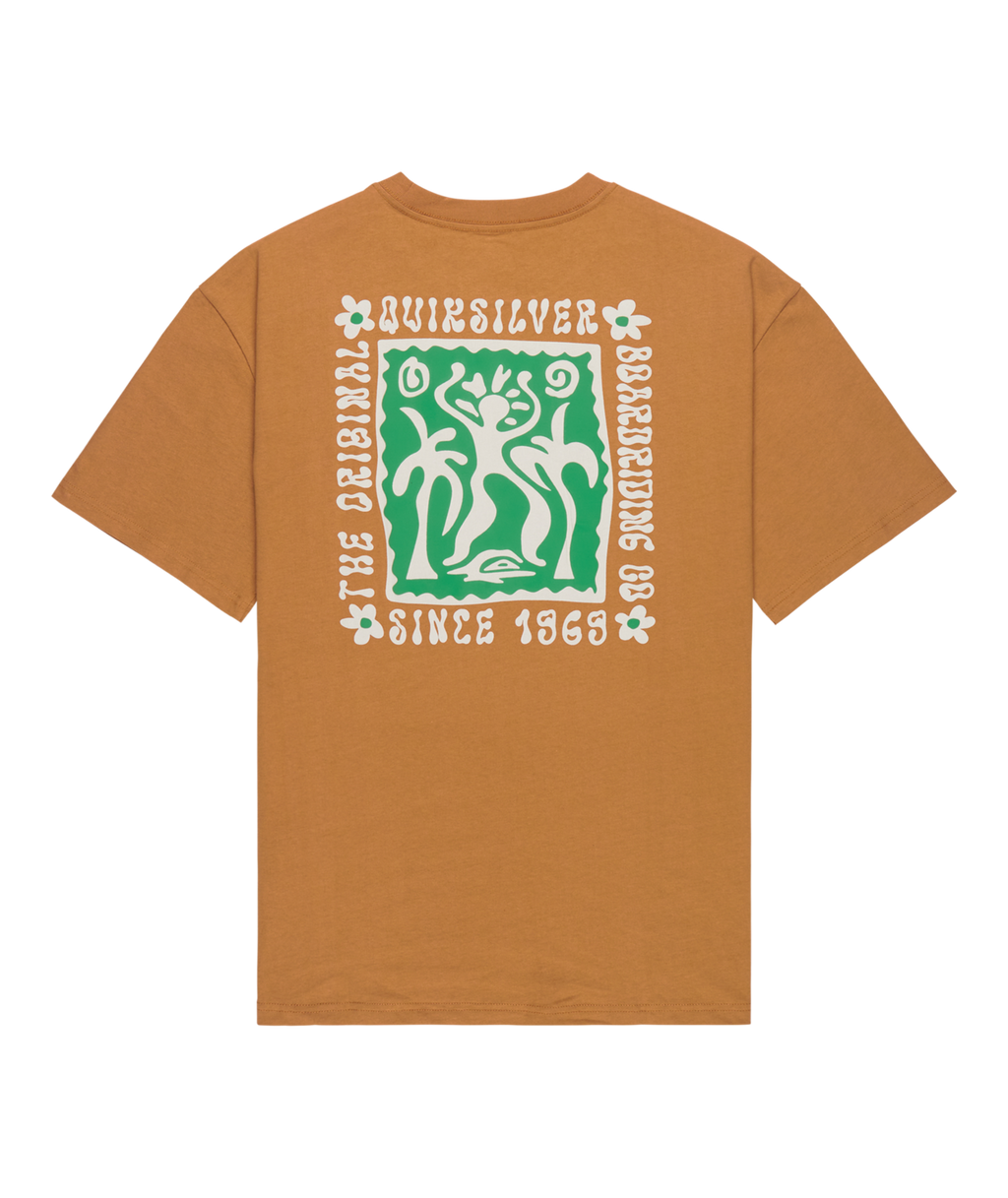 Quiksilver Mens Serenity Splash T-Shirt in Tobacco Brown