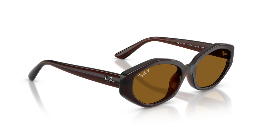 Ray-Ban® DARK BROWN DARK BROWN POLAR in Dark Brown