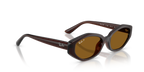 Ray-Ban® DARK BROWN DARK BROWN POLAR in Dark Brown