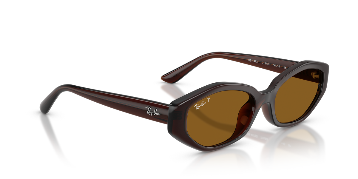 Ray-Ban® DARK BROWN DARK BROWN POLAR in Dark Brown