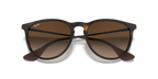 Ray-Ban® ERIKA RUBBER HAVANA BROWN GRAD in Rubber Havana