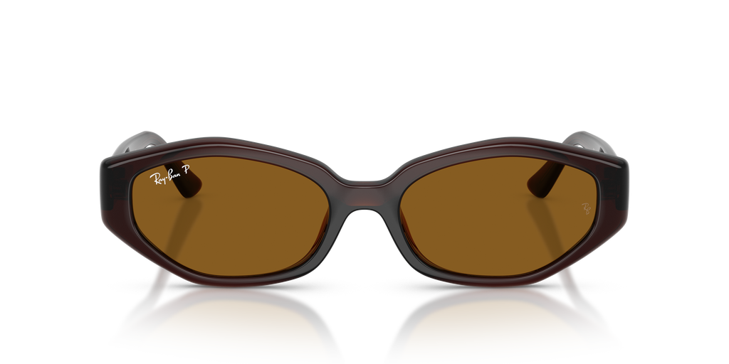 Ray-Ban® DARK BROWN DARK BROWN POLAR in Dark Brown