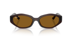 Ray-Ban® DARK BROWN DARK BROWN POLAR in Dark Brown