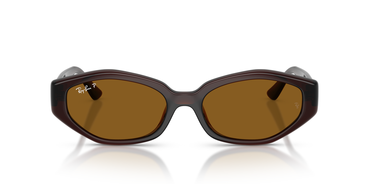 Ray-Ban® DARK BROWN DARK BROWN POLAR in Dark Brown