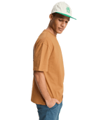 Quiksilver Mens Serenity Splash T-Shirt in Tobacco Brown